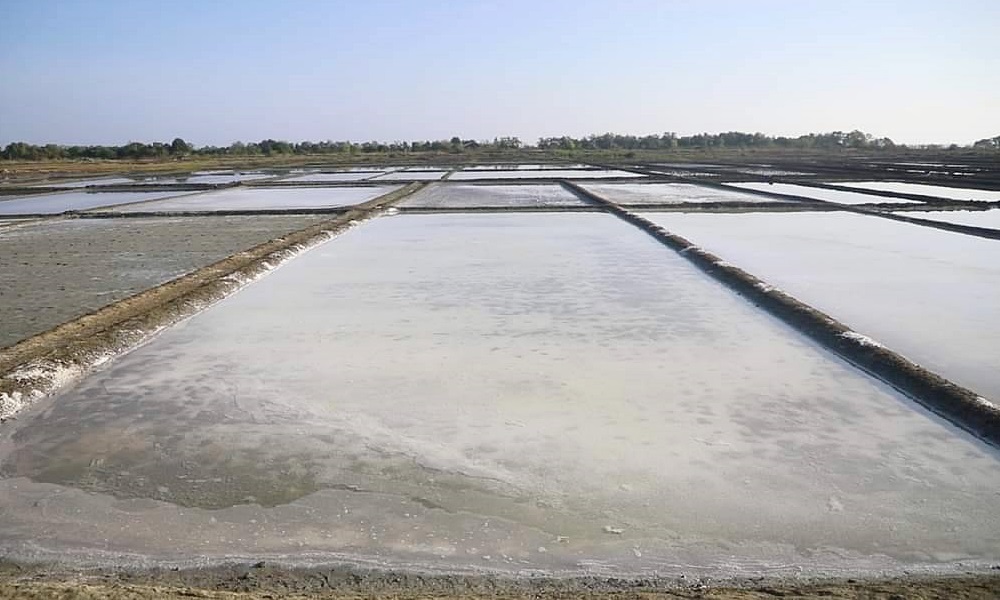 sweetsaltpattani07045