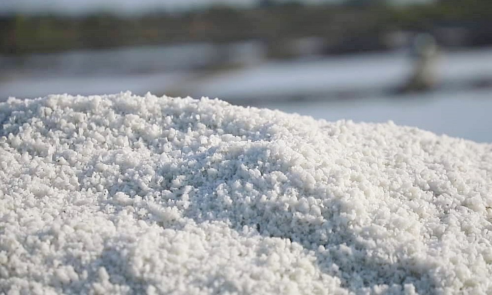 sweetsaltpattani07047