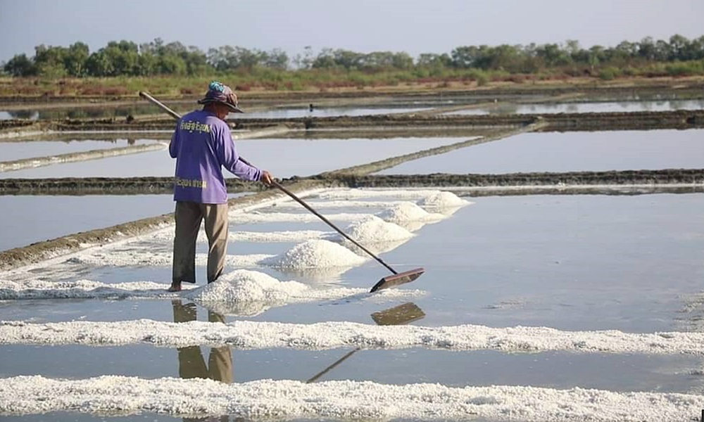 sweetsaltpattani07048