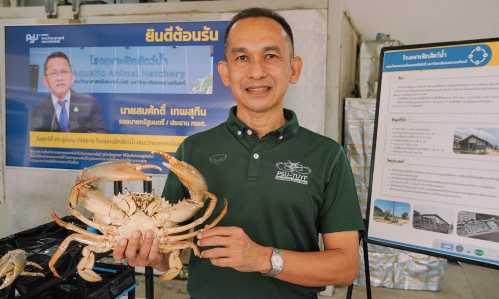 sbpaccityofseacrabs01096