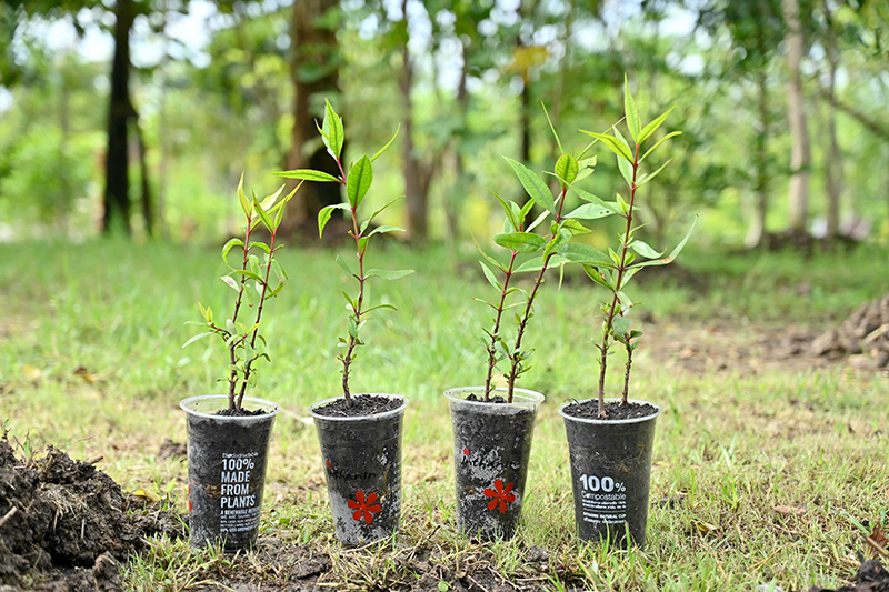 bcp 050624 intanin pic1