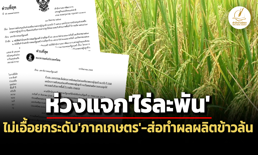 rice 30 08 25 pic new