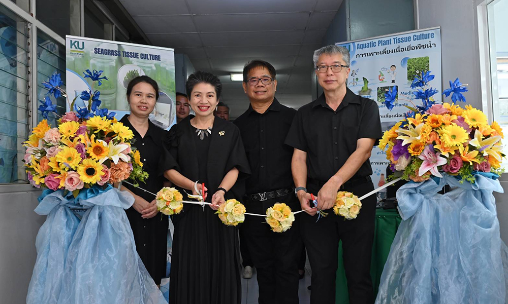 Bangchak BCP 31 10 1