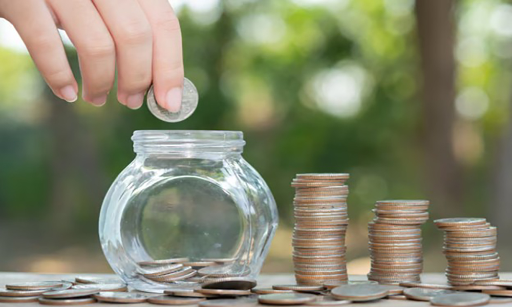 Primal Batch 8 31 29 10 1