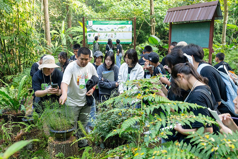 CPGroup ENVI CAMP 15 12 4