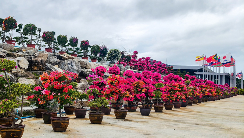 Nongnooch Pattaya 30 06 2