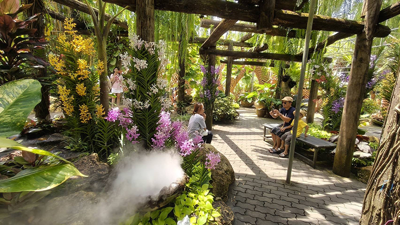 nongnoochpattaya 31 07 5