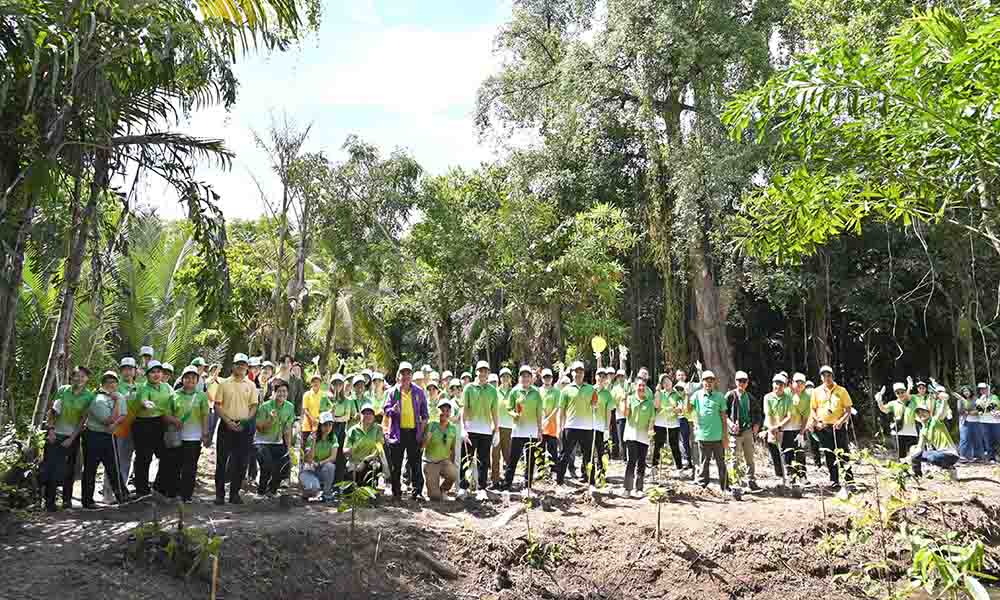 Bangchak Corp 11 08 1