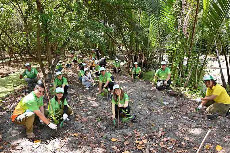 Bangchak Corp 11 08 5