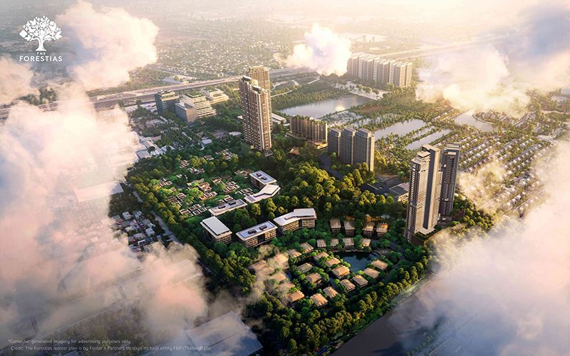 SCB Forestias 25 08 2