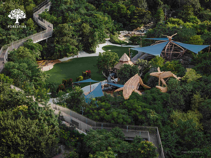 SCB Forestias 25 08 4