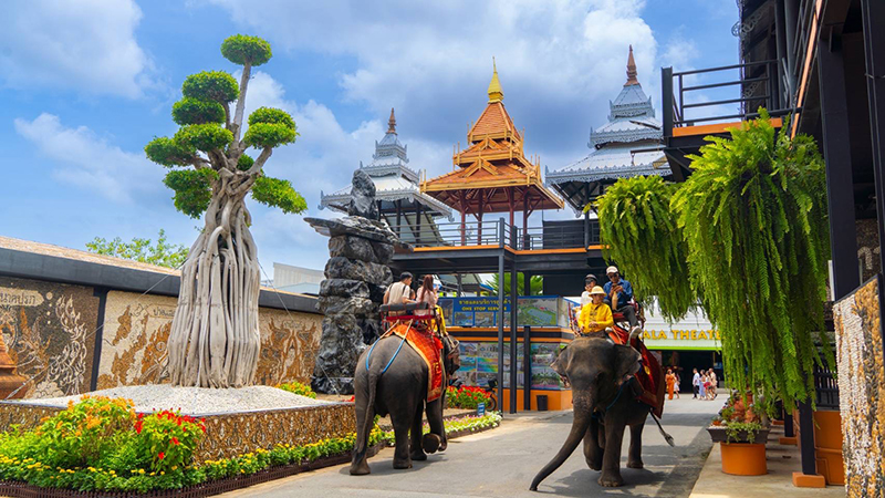 nongnoochpattaya 07 08 6