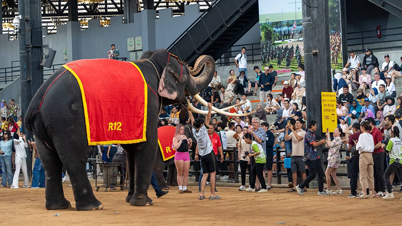 nongnoochpattaya 28 08 6