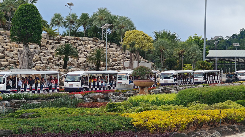 nongnuchpattaya 10 08 5