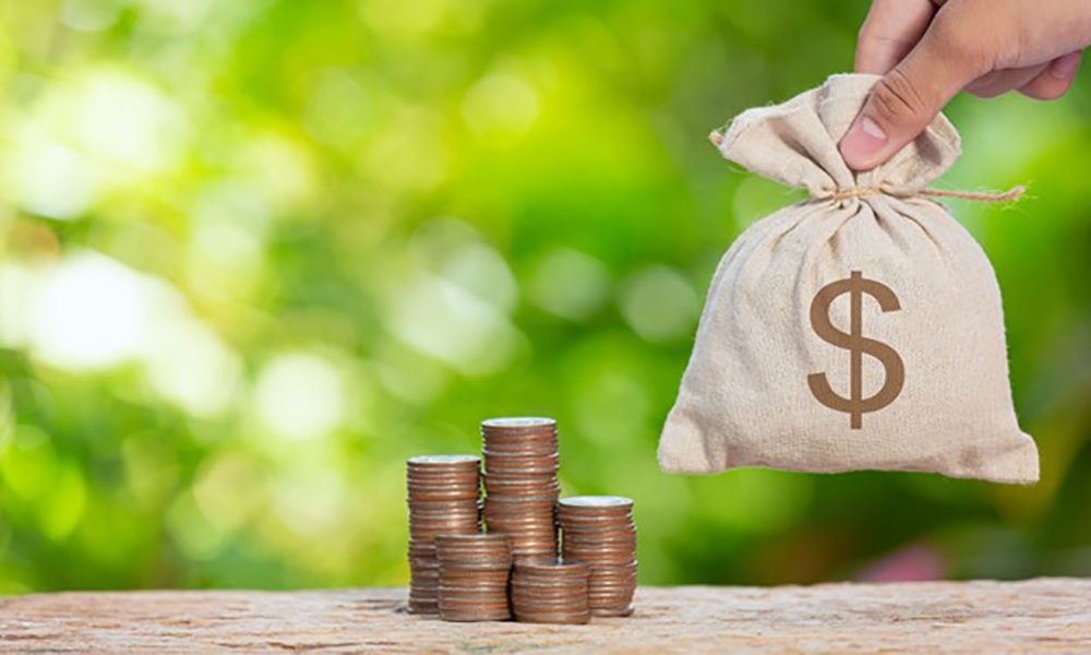 Primal Batch 8 25 02 09 1