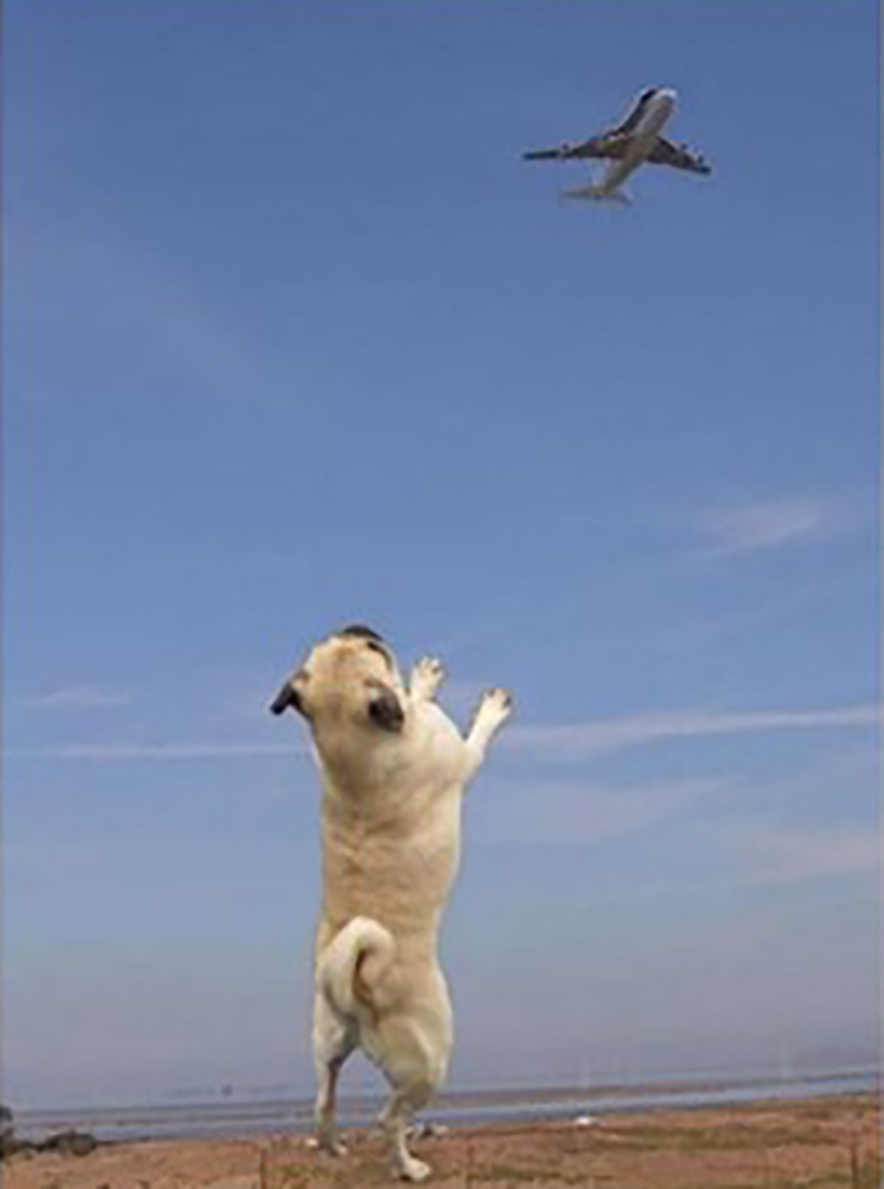 Seventy eight 23 09 3