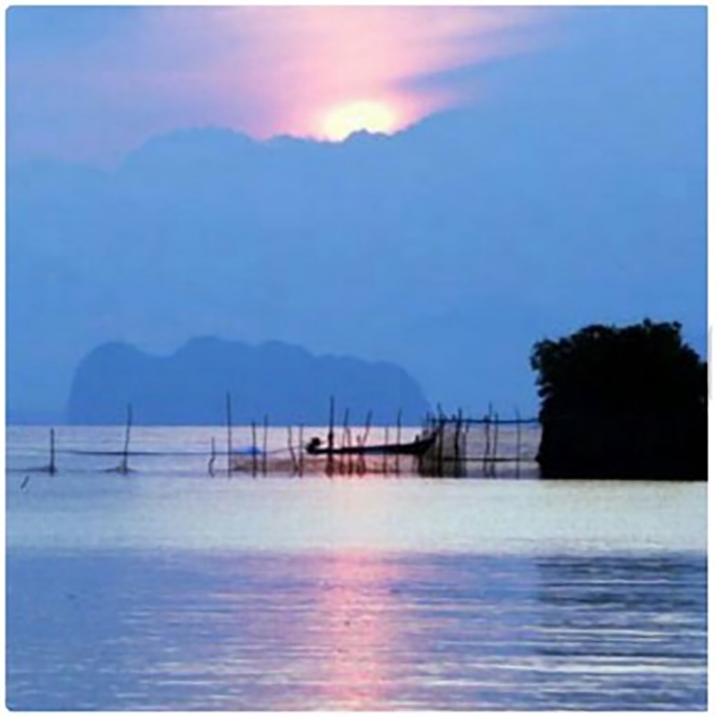 Seventy eight 23 09 4