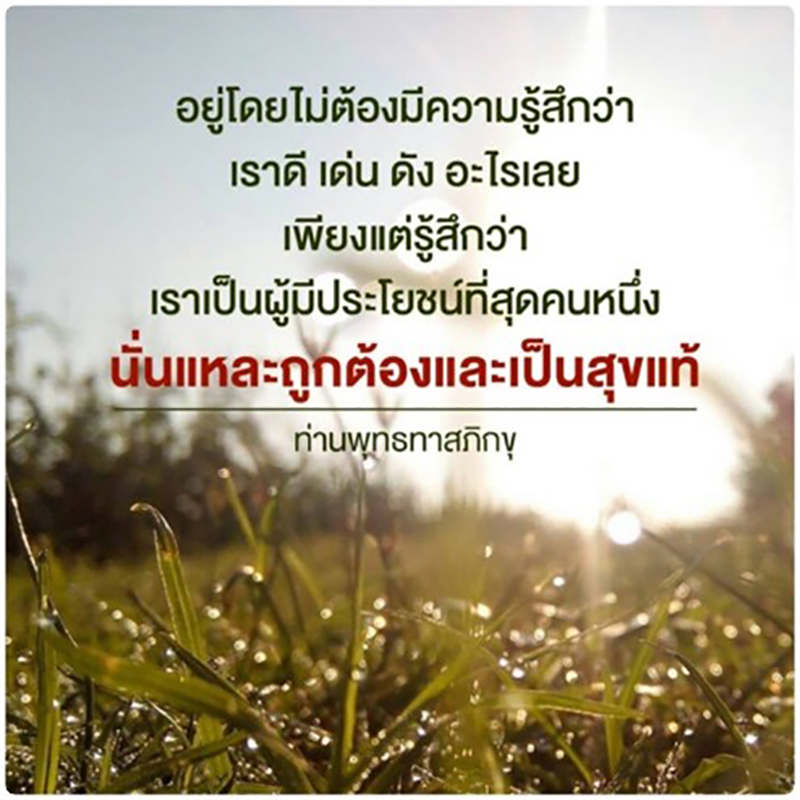 Seventy eight 23 09 5