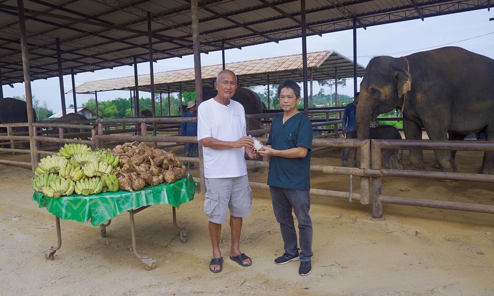 nongnoochpattaya 25 09 1