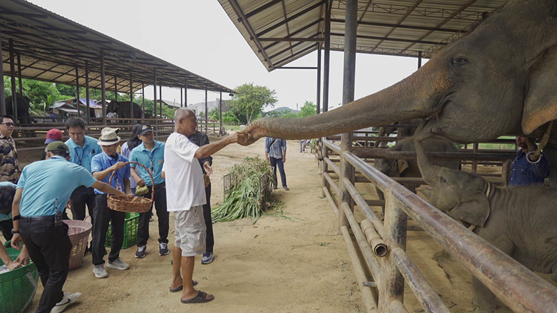 nongnoochpattaya 25 09 2