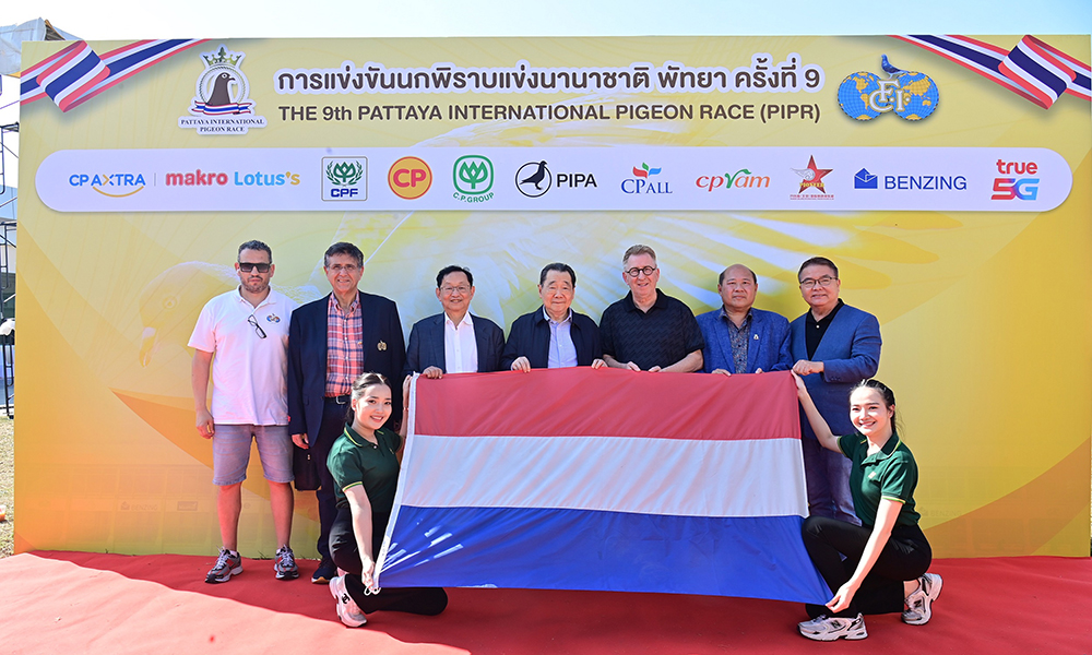 cp b 040125 main edit