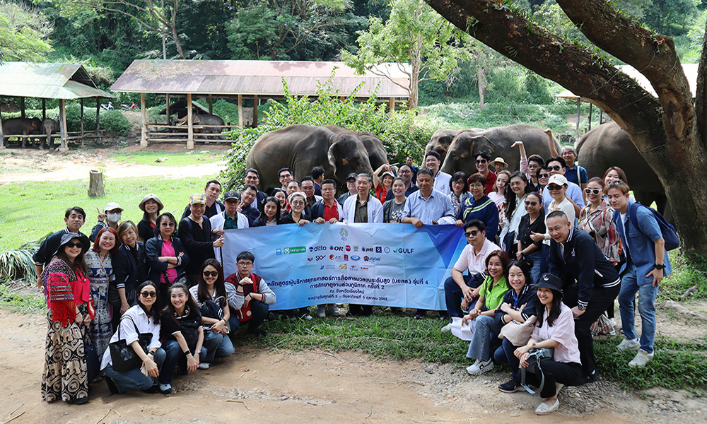 byss 091025 main d3 p1