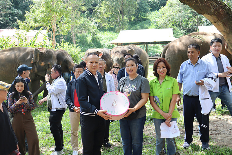 byss 091025 pic3 d3 p1