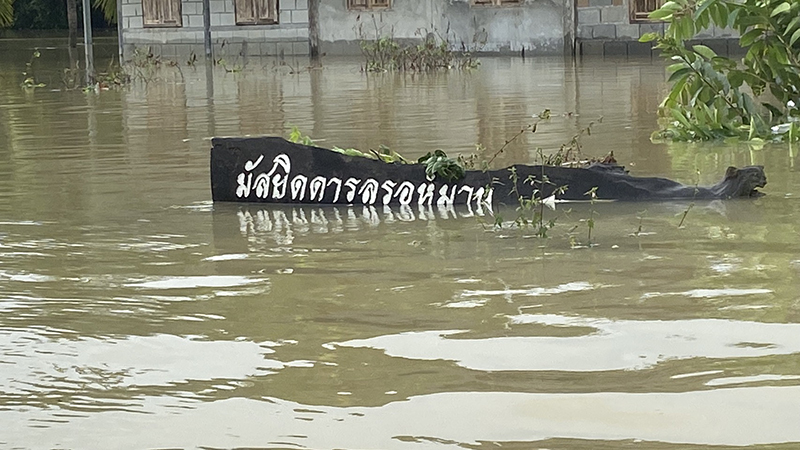 south 271125 pic1 nara