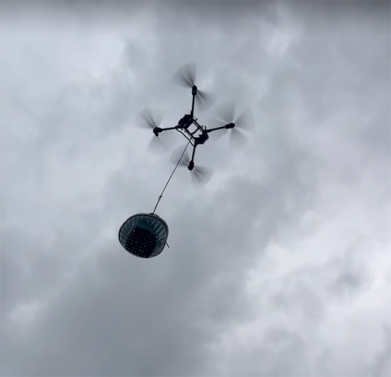 south dorn 271125 pic3