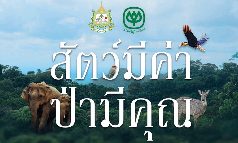 cp 180725 main photo