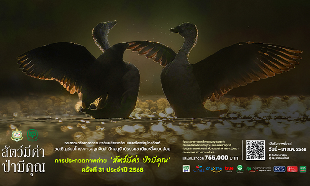 cp 150825 main photo