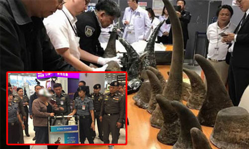 picnorrrrrrrr26 9 18