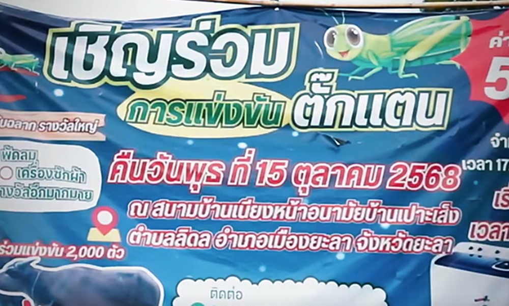 racegrasshopper181021