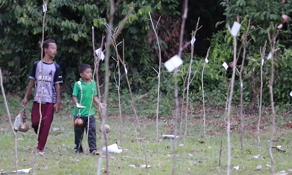 racegrasshopper18103