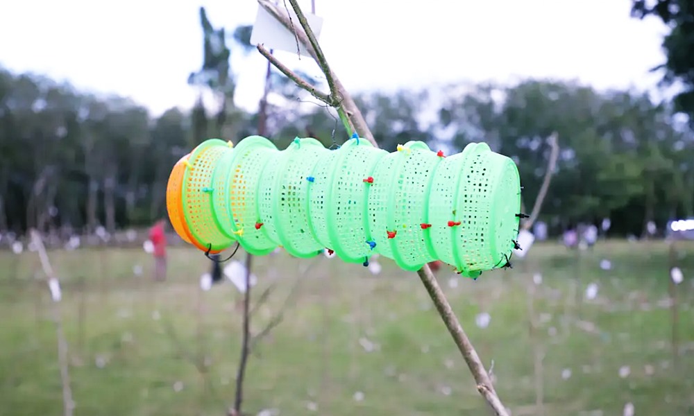 racegrasshopper181031