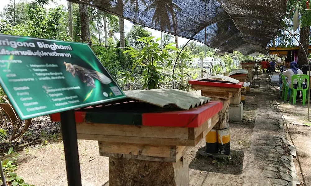 beekeepingsbpac25076