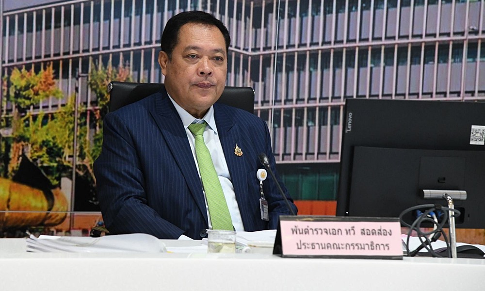 amnestylawforestpolicy280911