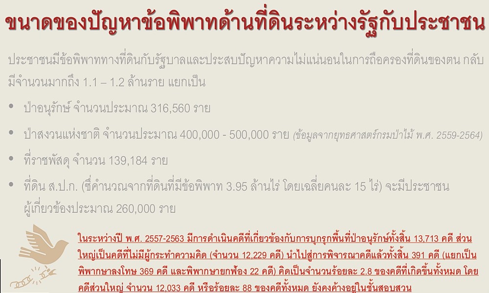 amnestylawforestpolicy280924