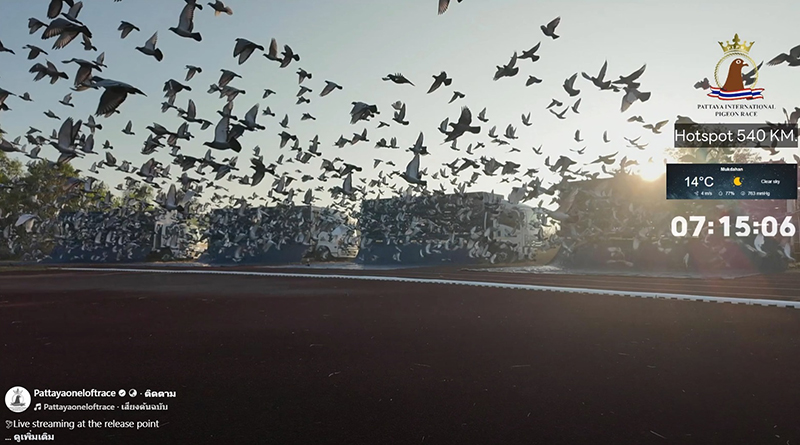 CPGroup PIPR 12 01 4