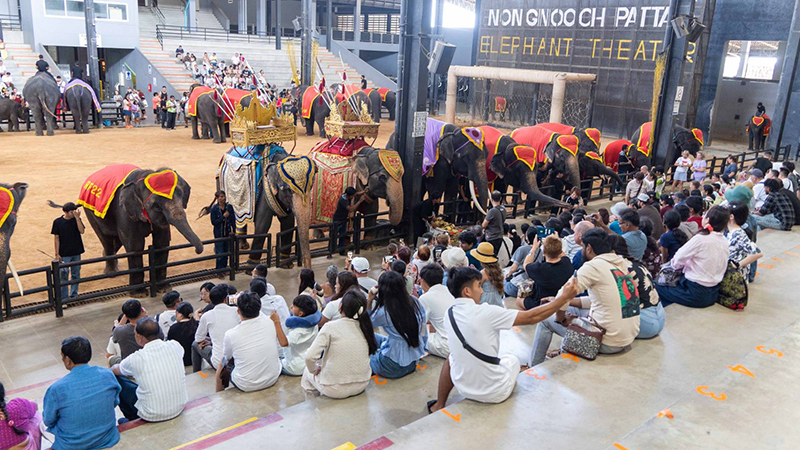 Nong Nooch 03 09 5