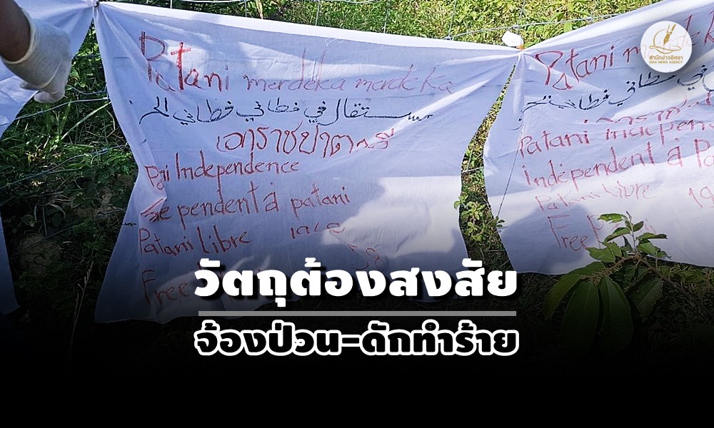 bannerpatani22010