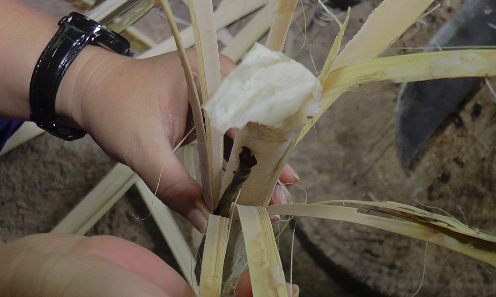 bamboostickyrice070632