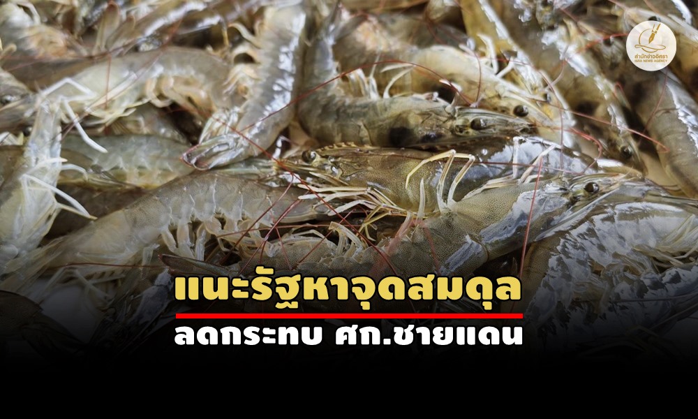 thaishrimp03060