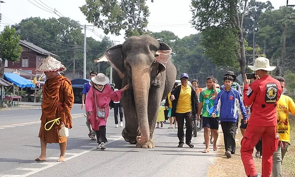 ptnthapnimid03082