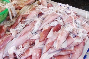 กรมอนามัย เผย ผลสุ่มตรวจตลาด 4 ภาค พบปลาหมึกปนเปื้อนฟอร์มาลีนมากสุด 