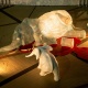 ช้าง งา และการเข่นฆ่า ส่องปัญหาผ่านศิลปะในงาน  Travel Ivory Free