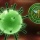 สธ.เฝ้าระวัง 'ไวรัสโคโรน่า สายพันธ์ุใหม่ 2012' รุนเเรงเท่าโรคซาร์ส