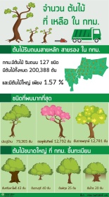 INFO : กทม.มีต้นไม้กว่า 2 แสนต้น เป็นต้นไม้ใหญ่แค่ 1.57% 