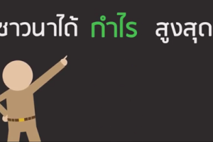 เปิดโมเดลพัฒนาข้าวไทย  มุ่ง "ชาวนาได้กำไรสูงสุด ไม่ใช่ได้ราคาสูงสุด" (1)