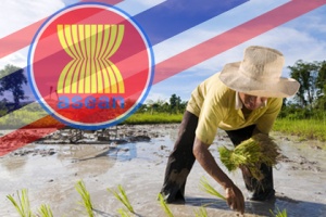 เปิดผลวิจัย “ภาคเกษตร” ในเออีซี  นักลงทุนไทยปรับตัว “ปฏิรูป” โครงสร้าง-รายสินค้า